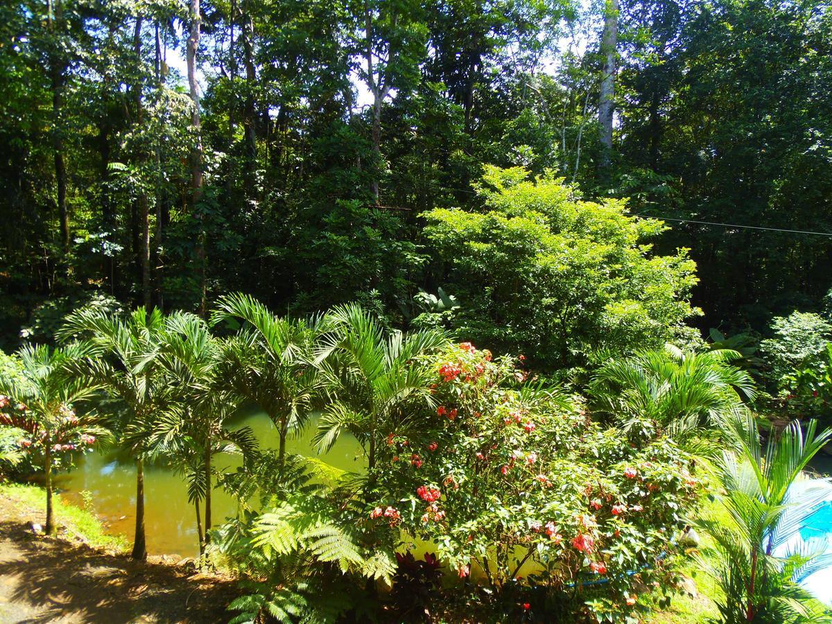 Hotel Valle Azul San Gerardo ห้อง รูปภาพ