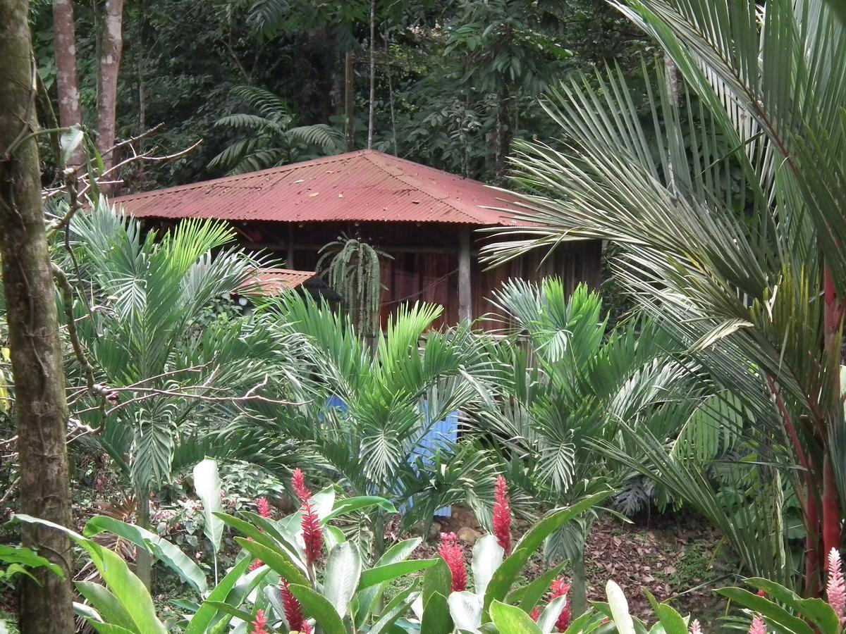 Hotel Valle Azul San Gerardo ห้อง รูปภาพ