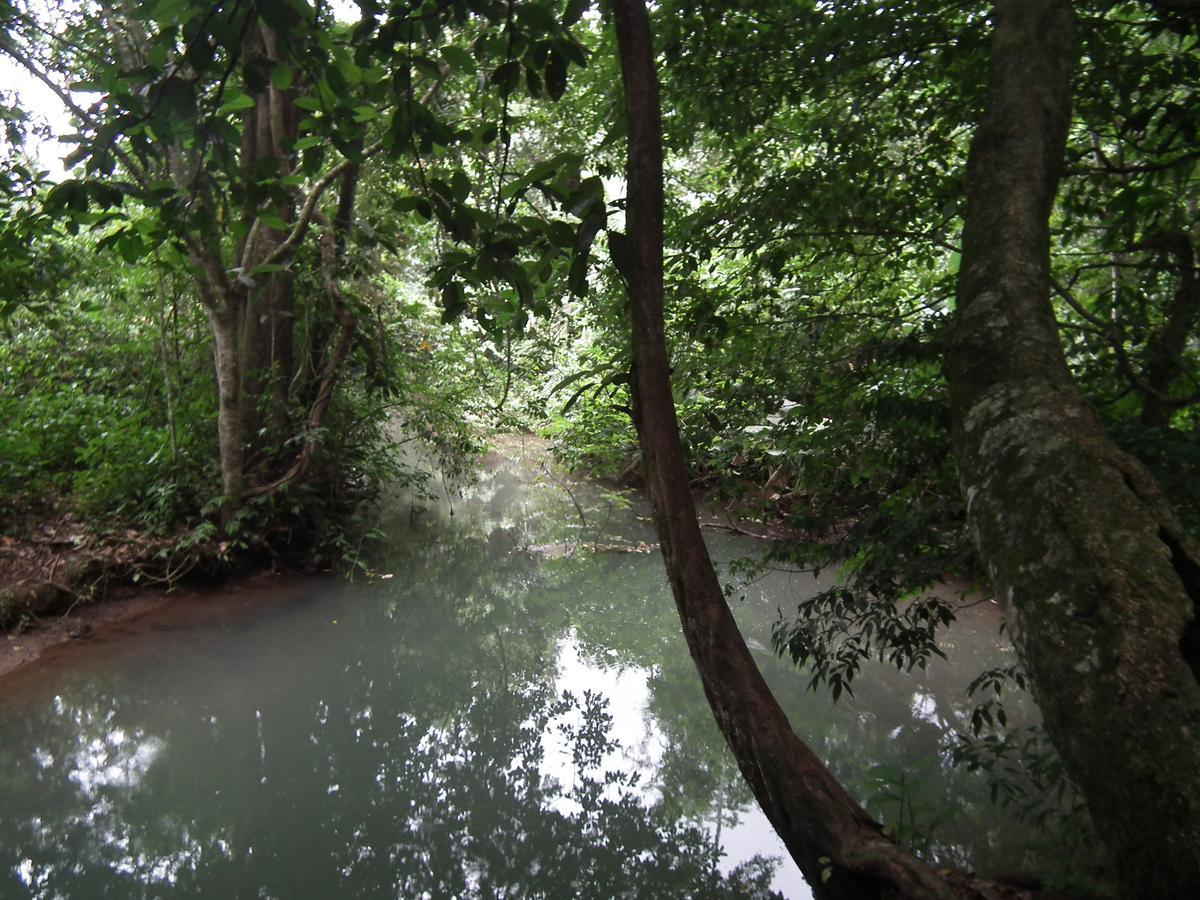 Hotel Valle Azul San Gerardo ห้อง รูปภาพ