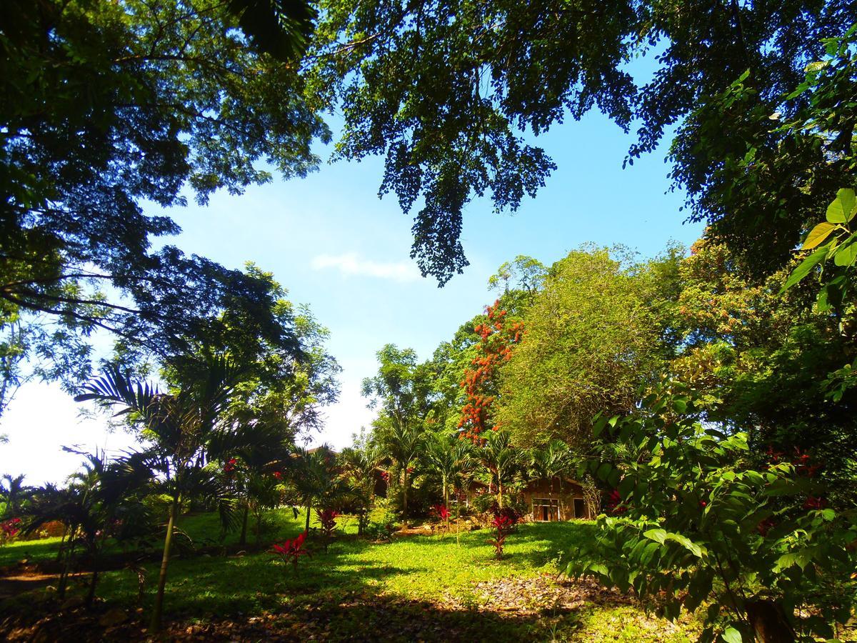 Hotel Valle Azul San Gerardo ห้อง รูปภาพ