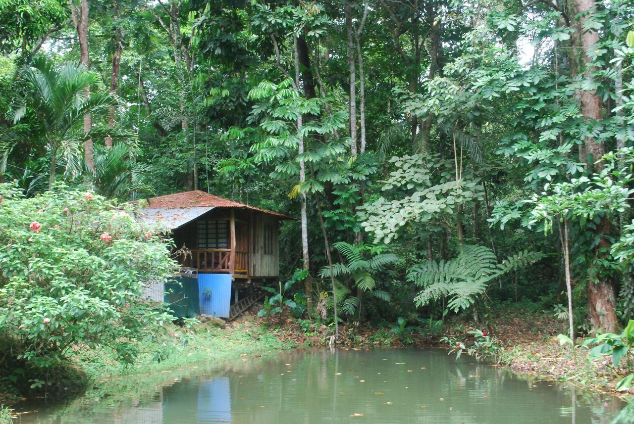 Hotel Valle Azul San Gerardo ภายนอก รูปภาพ