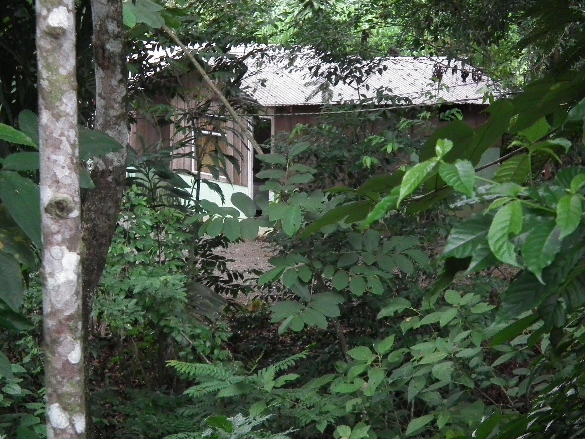 Hotel Valle Azul San Gerardo ภายนอก รูปภาพ