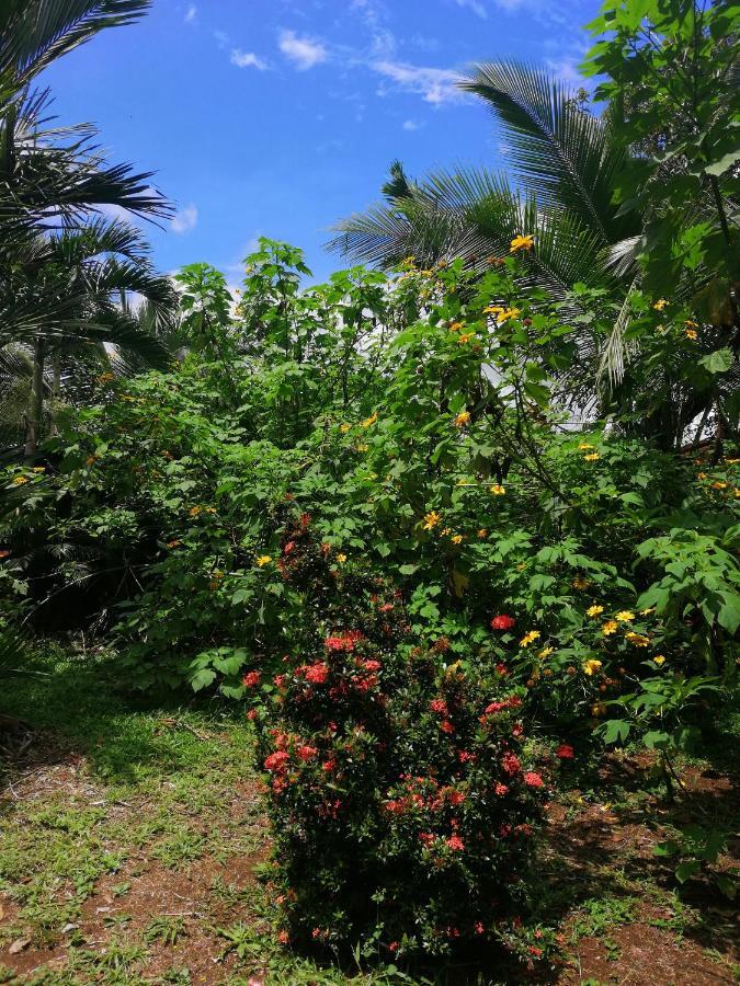 Hotel Valle Azul San Gerardo ภายนอก รูปภาพ