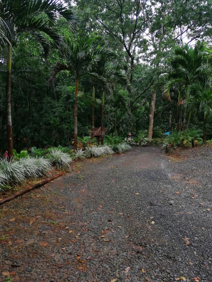 Hotel Valle Azul San Gerardo ภายนอก รูปภาพ